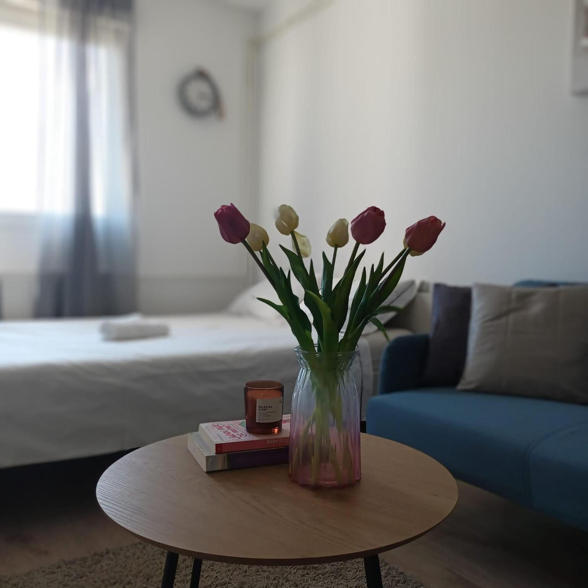 Modern Studio Near City Center Zagreb Ngoại thất bức ảnh